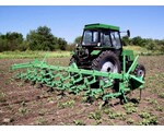 Артикул Культиватор навесной для высокостебельных культур КРН-8.4К «Корммаш» используется для междурядной обработки посевов пропашных культур, высеянных с междурядьями в 70 см. — 